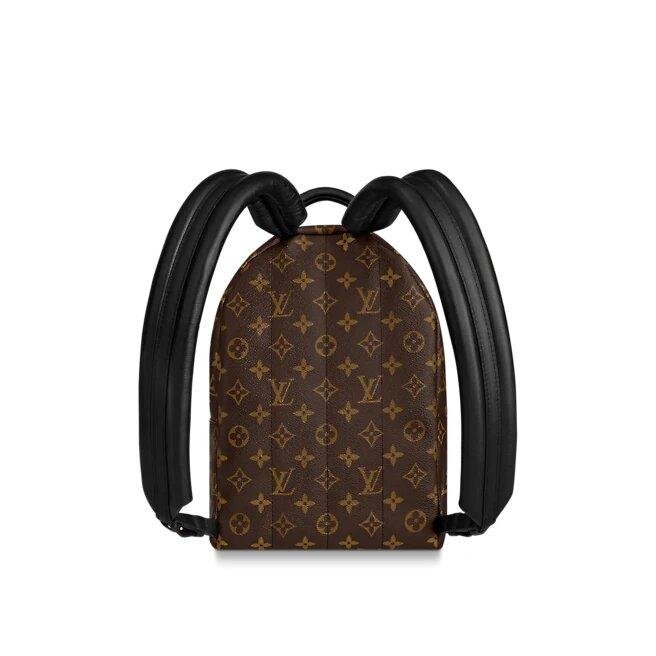 Louis Vuitton Palm Springs Pm - Image 5