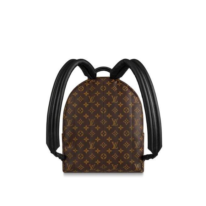 Louis Vuittonpalm Springs Mm - Image 2