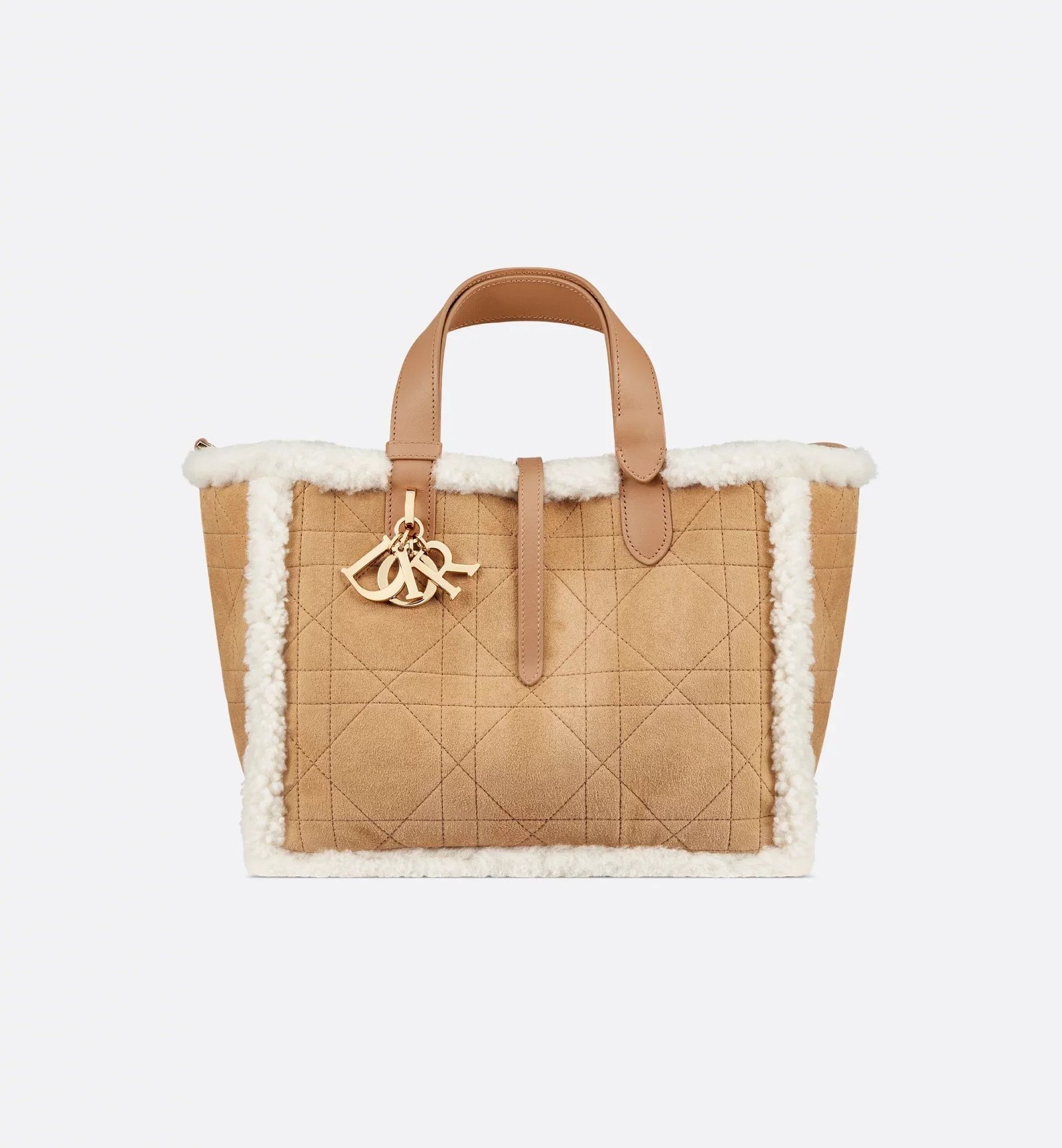 DiorAlps Medium Dior Toujours Bag