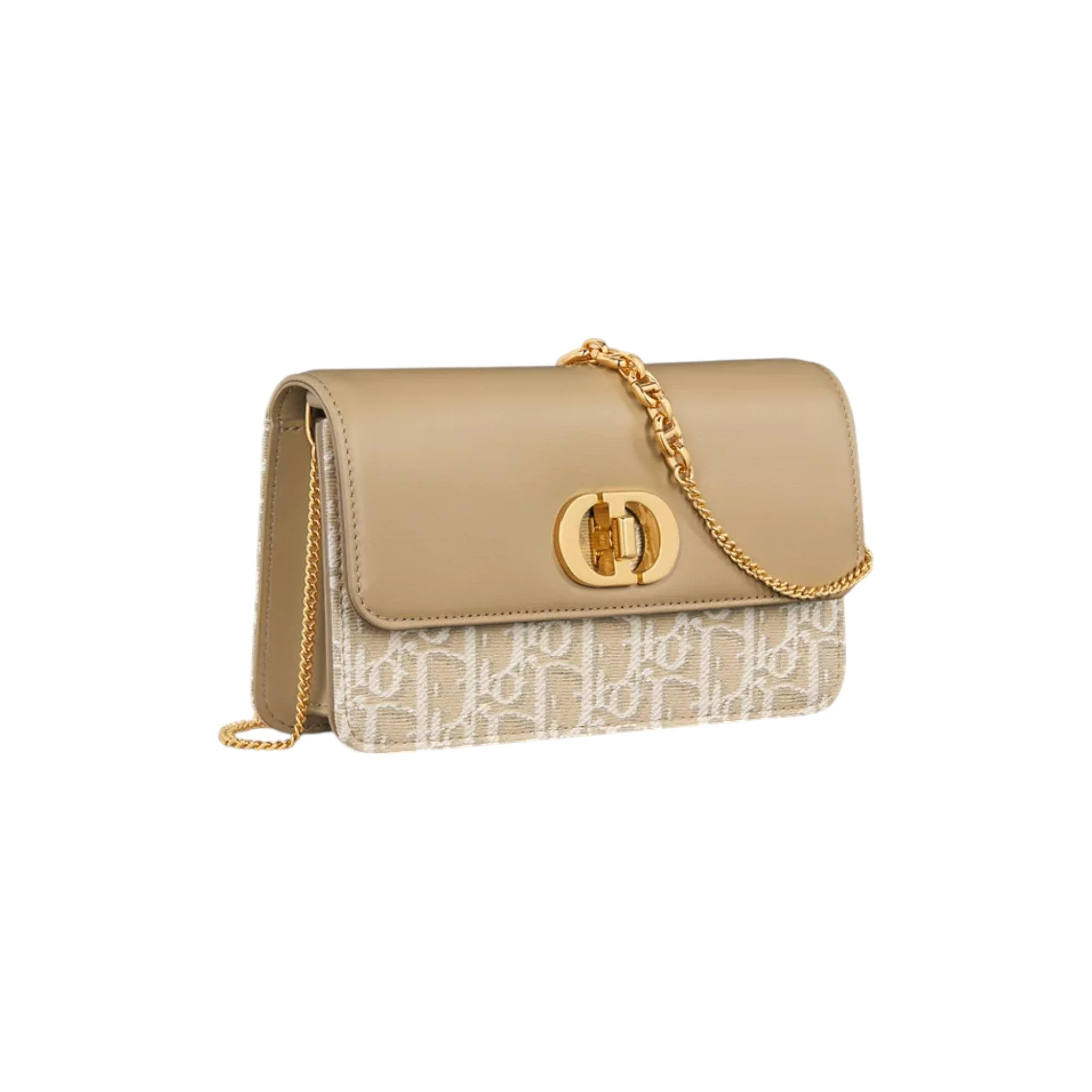 Miss Caro Pouch with Chain - Image 2