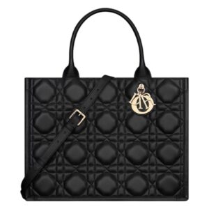 Medium Dior Book Tote
