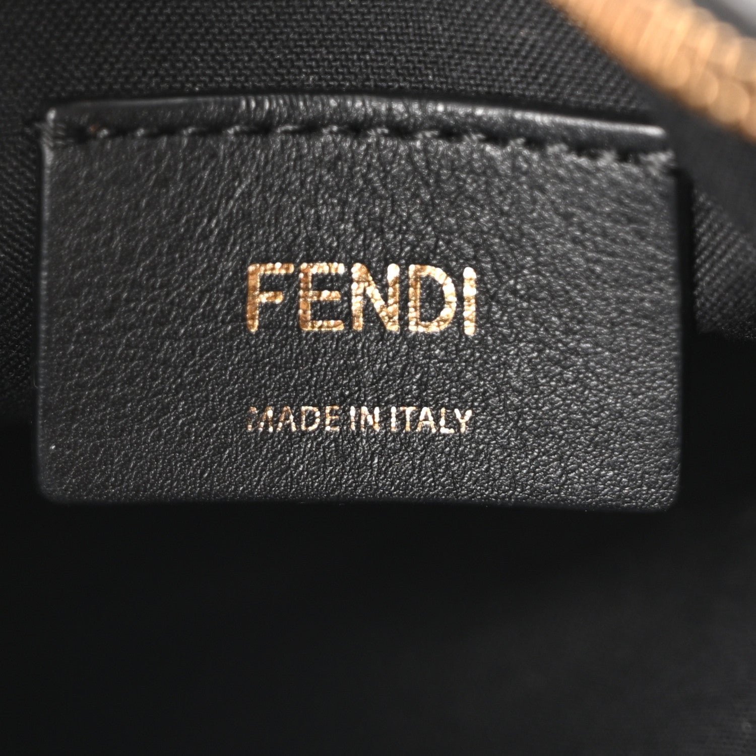 Fendi Vitello Grace Matte Mini Fendigraphy Hobo Bag - Image 6