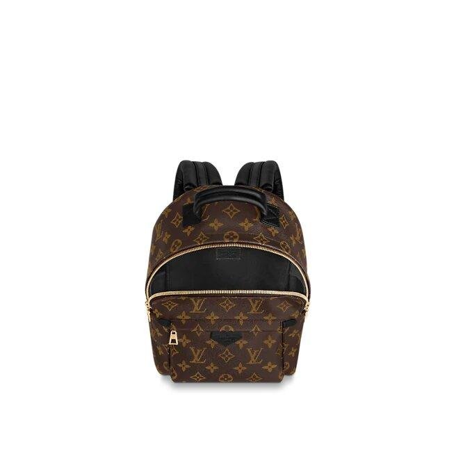 Louis Vuitton Palm Springs Pm - Image 5