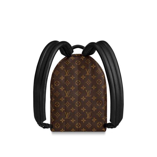 Louis Vuitton Palm Springs Pm - Image 3