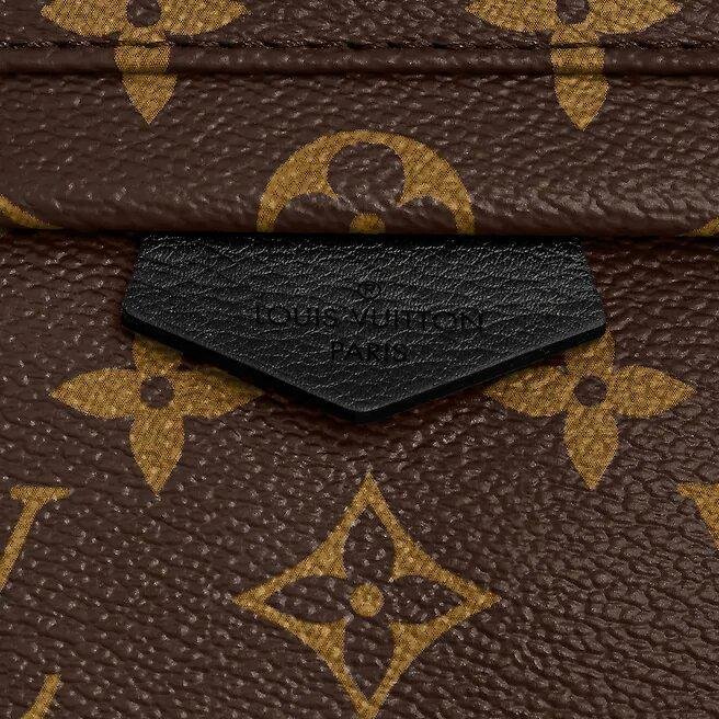 Louis Vuitton Palm Springs Pm - Image 2