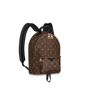 Louis Vuitton Palm Springs Pm