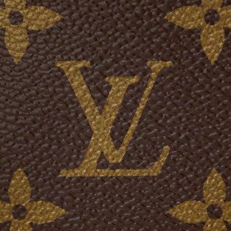 Louis Vuitton Mini Pochette Accessoires - Image 5